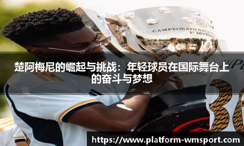 完美体育下载