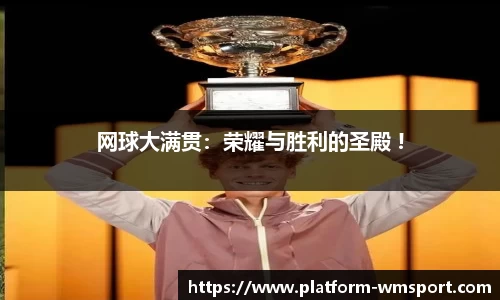 完美体育平台
